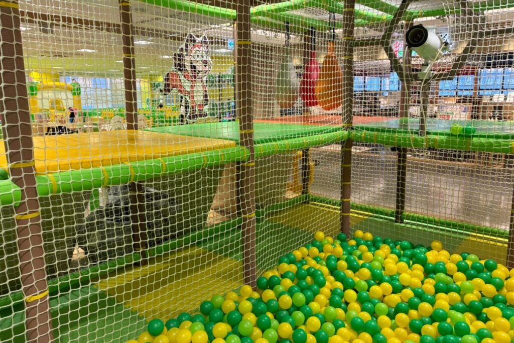 ザキッズ・ノースポートモール店|アスレチック